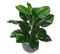 Leaf Design UK - Maceta de plástico (60 cm), Color Negro