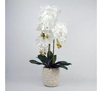 Leaf Design UK - Orquídea Artificial Realista en Maceta