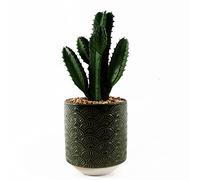 Leaf Design UK - Planta Realista de Cactus en Maceta de cerámica, 23 cm