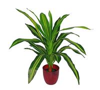 Leaf Diseño de Plantas Artificiales Tropicales, 90 cm, Dracaena, 90 cm