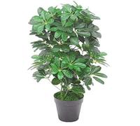 Leaf Hoja Artificial Schefflera Arboricola Planta (árbol del Paraguas) Maceta de plástico Negro, arbusto Oscuro, 55 cm