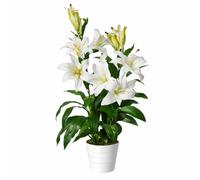 Leaf Hoja de orquídea Artificial, Blanco, 90 cm