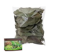 Leaf Litter 50PCS - Natural Pet Accessories Aquarium Habitat Bedding Frogs | Pet Supplies, Leaf Litter 50PCS Natural Accessories Aquarium Habitat Bedding Frogs Fish Snakes Shrimp Tortoises Lizards Small