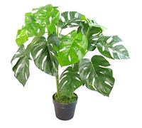 Leaf Maceta Artificial Monstera (80 cm), Color Negro