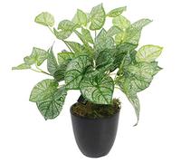 Leaf - Planta Artificial de caladio (40 cm)
