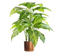 Leaf Planta Artificial Grande de 100 cm de Zorro Aglaonema (Hoja perenne manchada), Verde con Maceta de Cobre