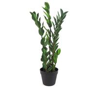 Leaf Plantas Artificiales Tropicales de diseño, 75 cm Zamioculcas
