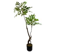 Leaf Plantas de follaje, árbol Artificial Toona Sinensis de 110 cm de Hoja perenne
