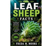 LEAF SHEEP FACTS: Everything you need to know about the cute photosynthetic sea slug, its ocean habitat, diet, and natural behavior