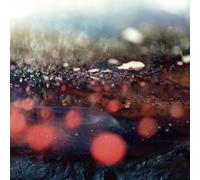 Leafcutter John - Resurrection [Vinilo]