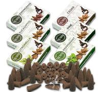 Leafy - Conos de Incienso para Cascada, Aroma a Menta, citronela, Pino, Cedro, eucalipto, citronela, 60 Unidades
