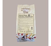 Leagel 1,25 kg EASY Helado Sabor Rojo Naranja Cúrcuma Guindilla Preparada en Polvo para Helados y Pastelería