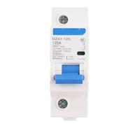 Leakage Protection Switch, DZ47 125 1P Circuit Breaker with Leakage Overload Short Circuit Protection 80A 100A 125A Optional for Household Engineering (C125A)