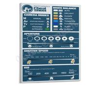 Learn Photography Fast Poster Comprehensive Cheat Sheet Wall Art for Students New Owners Home Library Dorm Room Decor(Unframed,16x24inch(40x60cm))