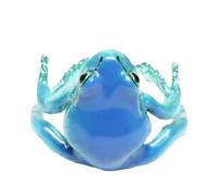 LearnLyrics Anillo de rana, anillos de rana para mujeres, Anillo animal, Difunde joyería de temática natural por naturaleza, Fare riferimento alla descrizione, Consulte la descripción, Consulte la