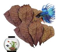 LearnLyrics Hojas de almendra Betta - Hojas de pecera, hojas de almendra acuario | Hojas de almendra Betta Ph Balance Acuario, Acondicionador de agua de hojas de almendra natural, tanque de