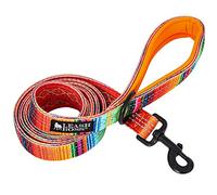 Leashboss - Correa para perro de 6 pies | Mango acolchado suave de doble grosor ultra cómodo | Correa reflectante para perros grandes y medianos | Correa resistente para perros de raza grande | Correa