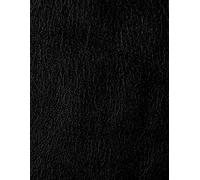 Leather Lover - Live it, Love it, Write it: Blank Journal for Lyrics, Love, and Luck.: 8.5 x 11 White Unlined pages. Perfect Gift or Personal Treasure.