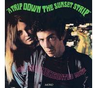 Leathercoated Minds - A Trip Down the Sunset Strip