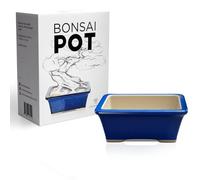 Leaves and Soul Maceta de cerámica esmaltada para bonsái - Maceta de cerámica para suculentas y Plantas pequeñas - Maceta Rectangular Azul Jardines Interiores y Exteriores, mesas y decoración