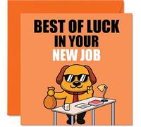 Leaving Cards for Colleagues Women Men - Best of Luck in your New Job - Sorry Your Leaving Good Luck In Your New Job Card, 145mm x 145mm Greeting Cards, Funny Leaving Gifts Congratulations Card
