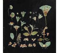 Leaving laurel - When the quiet comes [Vinilo]