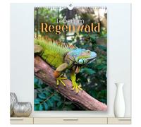 Leben im Regenwald (hochwertiger Premium Wandkalender 2026 DIN A2 hoch), Kunstdruck in Hochglanz: Was verbirgt sich alles im Regenwald?