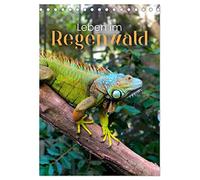 Leben im Regenwald (Tischkalender 2026 DIN A5 hoch), CALVENDO Monatskalender: Was verbirgt sich alles im Regenwald?