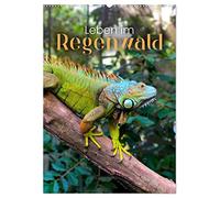 Leben im Regenwald (Wandkalender 2026 DIN A2 hoch), CALVENDO Monatskalender: Was verbirgt sich alles im Regenwald?