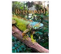 Leben im Regenwald (Wandkalender 2026 DIN A3 hoch), CALVENDO Monatskalender: Was verbirgt sich alles im Regenwald?