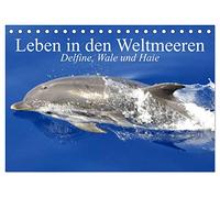 Leben in den Weltmeeren. Delfine, Wale und Haie (Tischkalender 2026 DIN A5 quer), CALVENDO Monatskalender: Gleiten und Leben in den Ozeanen der Welt