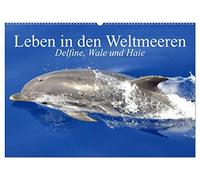 Leben in den Weltmeeren. Delfine, Wale und Haie (Wandkalender 2026 DIN A2 quer), CALVENDO Monatskalender: Gleiten und Leben in den Ozeanen der Welt