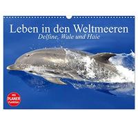 Leben in den Weltmeeren. Delfine, Wale und Haie (Wandkalender 2026 DIN A3 quer), CALVENDO Monatskalender: Gleiten und Leben in den Ozeanen der Welt