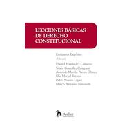 Lecciones básicas de Derecho constitucional (MANUALES)