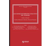 Lecciones de derecho colectivo del trabajo