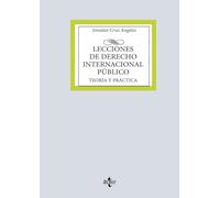 Lecciones de Derecho Internacional Público: Teoría y práctica (Derecho - Biblioteca Universitaria de Editorial Tecnos)