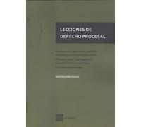 Lecciones de Derecho Procesal: Proceso civil: ejecución, medidas cautelares y procesos especiales. Proceso penal: parte general, procedimientos y recurso. Esquemas procesales