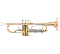 LECHGOLD TR-14G trompeta Bb