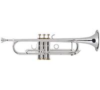 Lechgold TR-16S Trompeta Bb para principiantes y avanzados, válvulas 100% acero inoxidable, grabados a mano, incluye funda con correas, boquilla y paño de limpieza, color plateado.