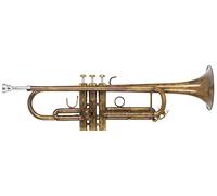 Lechgold TR-16V Trompeta Bb - de latón - válvulas de acero inoxidable - incluye estuche ligero y boquilla - tratada con ácido y barnizada