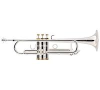 Lechgold TR-18S Trompeta Bb plateada - Trompeta plateada en Bb - De latón - Campana Ø: 124 mm - Válvulas de acero inoxidable - Taladro ML: 11,68 mm - Incluye estuche ligero