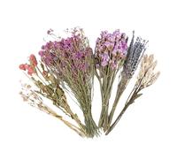 Lecho de Flores para Hámster Decoración Natural Para Jaula De Jerbos