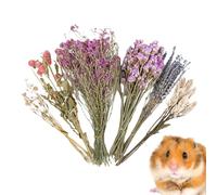 Lecho de Flores para Hámster, Decoración Natural Para Jaula De Jerbos, Decoración De La Jaula Del Hámster, Para Conejo Erizo Padres de Mascotas Bodas Camping Fiestas Temáticas Navidad Acción de Gracia