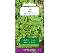 Lechuga iceberg Regina dei ghiacci - maduración tardía