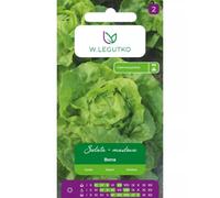 Lechuga mantecosa Bona: amarillo verdoso, temprana.