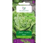 Lechuga mantecosa Justyna: verde claro, temprana.