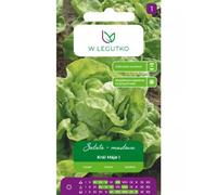 Lechuga mantecosa Král Máje I: amarillo verdoso, temprana.