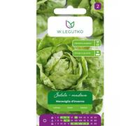 Lechuga mantecosa Meraviglia d'inverno - verde, de invierno