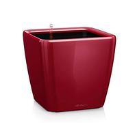 Lechuza 16127 - Maceta Quadro Premium 21 LS Kit completo, color rojo escarlata (21 x 21 x 20)