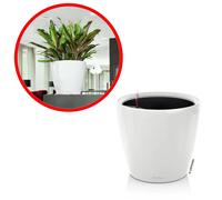 LECHUZA Classico Premium LS 28 Maceta Blanco Brillante Ø28cm Kit Completo 7L